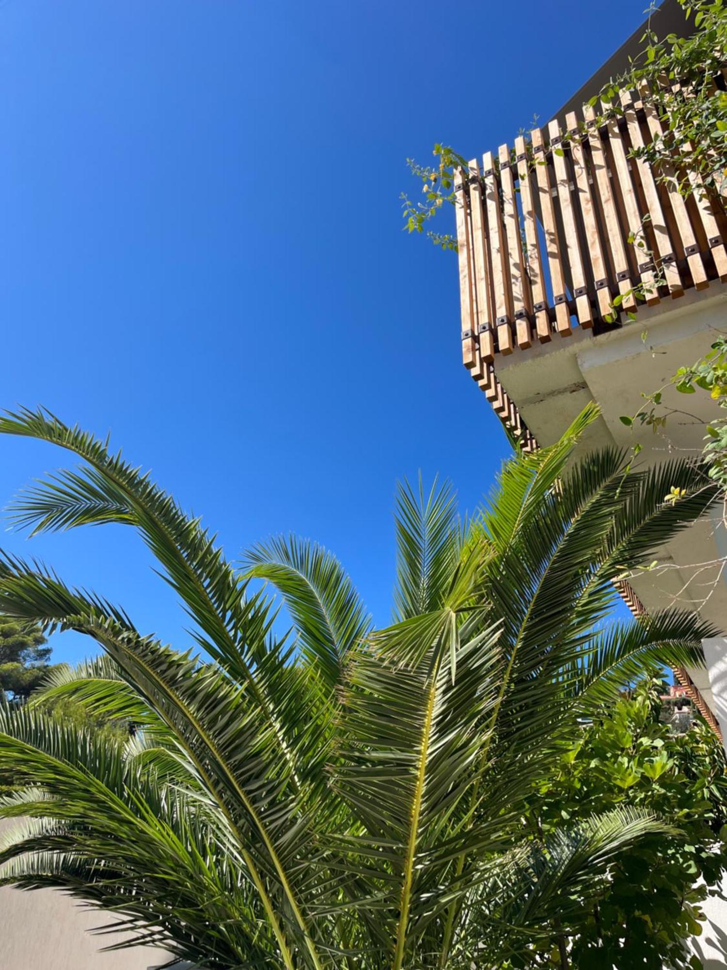 Villa Paradis Les Issambres Exterior photo