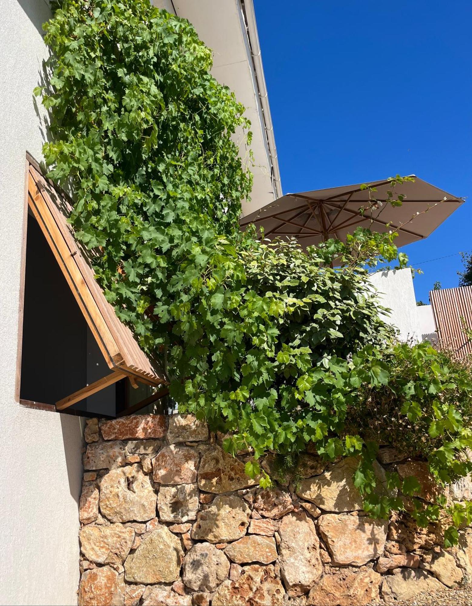 Villa Paradis Les Issambres Exterior photo